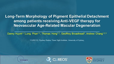 Long-term Morphology of Pigment Epithelial Detachments Among Patients Receiving Anti-VEGF Therapy for Neovascular Age-Related Macular Degeneration