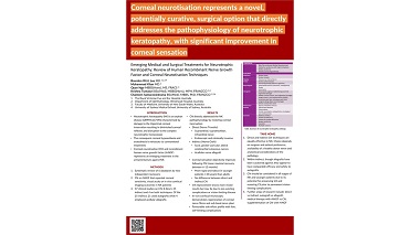 Emerging Medical and Surgical Treatments for Neurotrophic Keratopathy: Review of Human Recombinant Nerve Growth Factor and Corneal Neurotisation Techniques