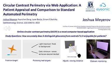 Circular contrast perimetry via a web application: a patient appraisal and comparison to Standard Automated Perimetry