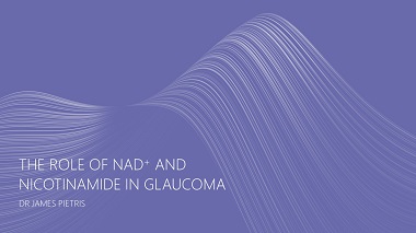 The Role of NAD+ and Nicotinamide (Vitamin B3) in Glaucoma: A Review